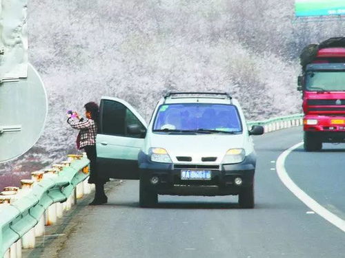 低速载货汽车油耗多少 低速载货汽车油耗多少